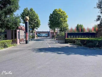 公司风采